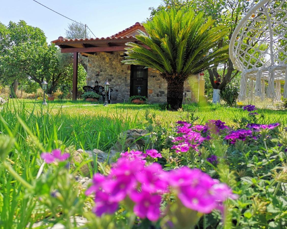 Вилла Patras Stonehouse With Large Yard - Πέτρινο Σπίτι Με Αυλή Paralia  Экстерьер фото